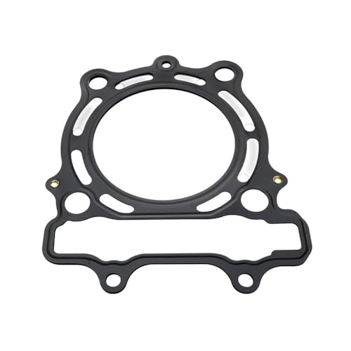 Joint de magneto RMZ250 reparation carter allumage - 2