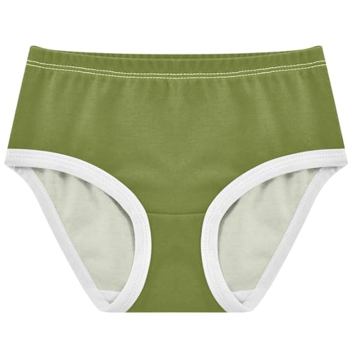 Joisal Toddler Girls Underwear 2t Cotton Cute Panties Girl Florals Kids Undies Briefs Moss Green
