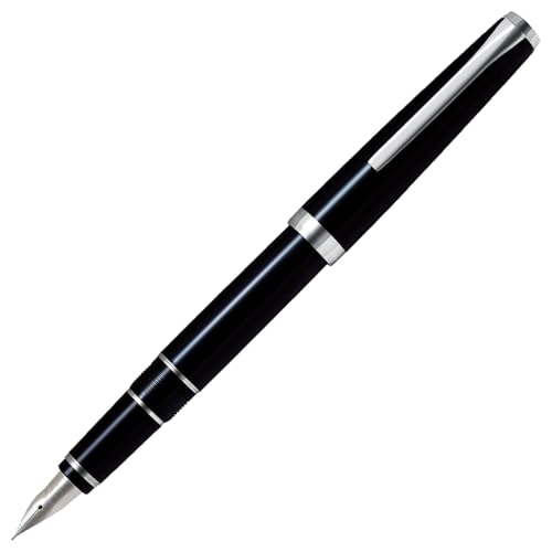 PILOT 万年筆 エラボーロジウム BSF ブラック FE25SRBSF 317u3q558-L.jpg