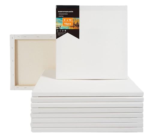 NLLE キャンバスボード 317u8uaSdBL.jpg