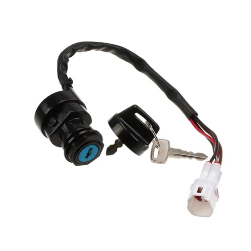 Bobinas de encendido compatibles con Warrior, Banshee e interruptor de llave 4
