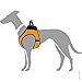 HUNTER Hundegeschirr HILO COMFORT, Farbe: orange, Easy Step-In Geschirr für kleine bis mittlere Hunde, mit Netzmaterial, reflektierende Elemente, angenehm leicht, modernes Design Größe: XS
