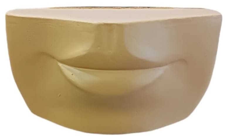 Traditional Tattoo SupplySilicon Mouth Pearcing Practice For Lips Pair Of 1 Mouth Soft Silicon