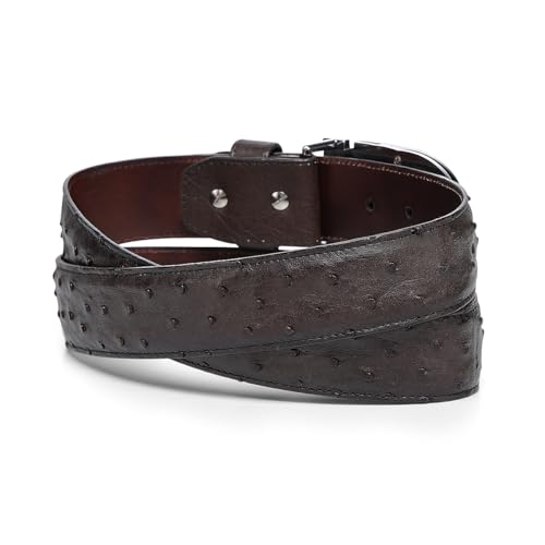 Cuadra Casual Belt in Genuine Ostrich Leather, Brown, 38mm Double Buckle2