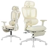 Ergonomic Office Chair with Footrest, High Back Computer Office Chair with Dynamic Lumbar Support, 2D Headrest, 2D Armrest, Sponge Seat, Mesh Home Office Desk Chair for Adults, Cream