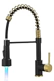 Black and Gold Kitchen Faucet with Pull Down Sprayer, WOTOKOL Black Kitchen Faucet with LED Light Br