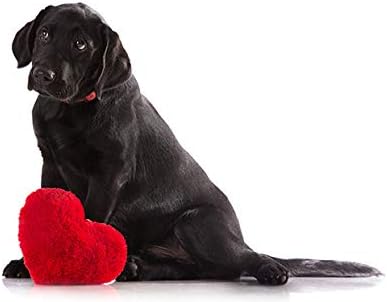 Miniatura 3 de Dog Inflammation Relief - Dog Omega 3 - Healthy Skin Coat and Joints - Brain and Heart Health - Allergy Relief - Dog Omega 3 6 9-1 Bottle (180