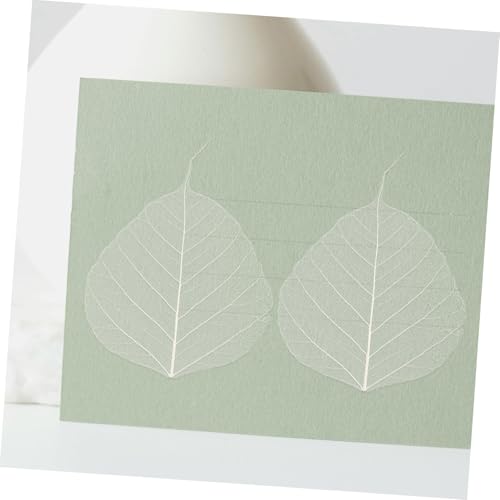 20 hojas secas esqueleto para manualidades y scrapbooking miniatura 4