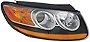 TYC Right Headlight Assembly Compatible with 2010-2011 Hyundai Santa Fe