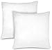 TIENDA EURASIA® - Pack de 2 Rellenos de Cojín, Relleno de Fibra Hueca Neotherm® con Gran Capacidad de recuperación, Resistente al Uso y a Lavados (55 x 55 cm)