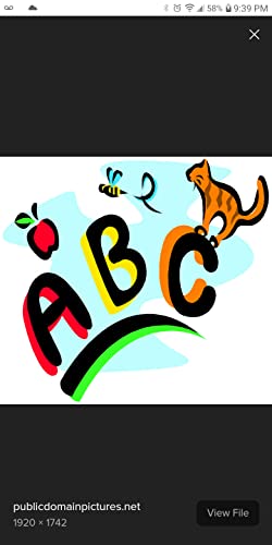 Homeschooling in the Dotte cover art