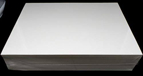 docsmagic.de 100 Magazine Size Comic Backing Boards - 218 x 282 mm - 24pt White - Tapas Traseras - Blanco