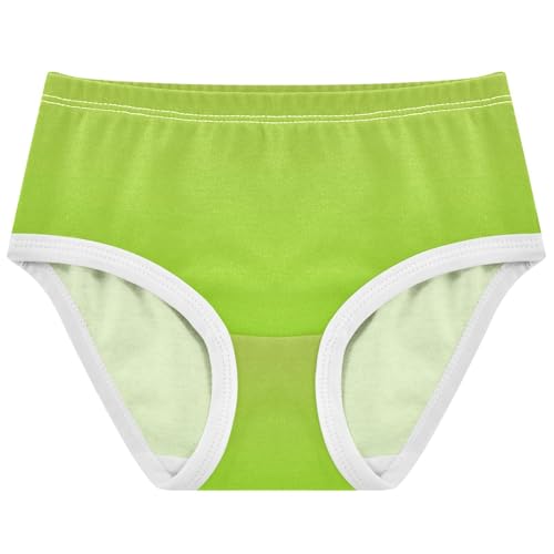 Joisal Avocado Green Fruit Gradient Toddlers Underwear Floral 2t Cotton Panties Little Girl Artistic Undies Kids Briefs