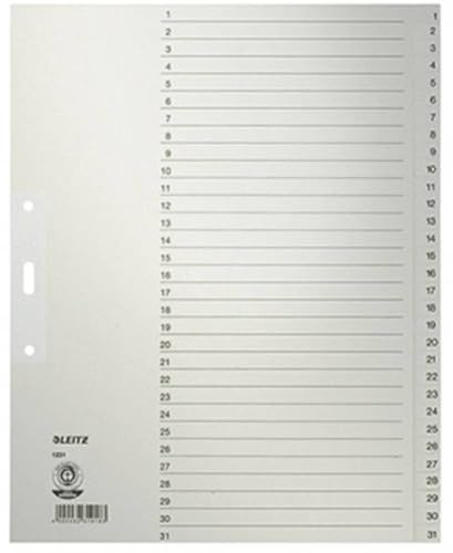 Preisvergleich Produktbild Leitz Papier-Register 1231-85 DIN A4, 1-31, 31-teilig, grau