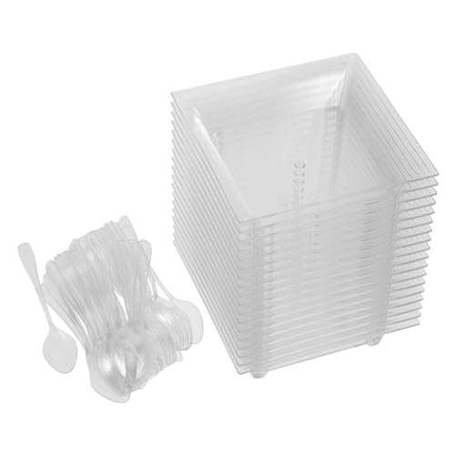 NAMOARLY 100pcs Dessert Plates with Spoon Reusable Clear Plastic Square Appetizer Plates for Desserts Snacks and Sauces Portable Serving Tray for Parties and Events