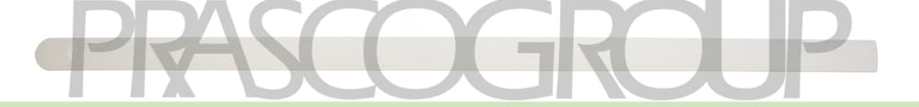 PRASCO Zier-/Schutzleiste, Tür OP0301424