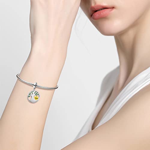 Phocksin Sister Charm Family Tree Of Life Bead Charms For Bracelets Birthday Sisters Gifts From Sister #TOP3