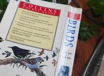 Amazon.co.jp: +..。゜+ イギリスの鳥たちの図鑑 英国のヴィンテージ本