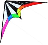 Dual Line Kite Large Delta Kite Easy Flyer Kite Seaside Beach Toy for Kids and Adult Beach Game Outdoor Activities