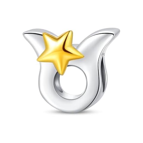 LongLuck 925 Sterling Silver Birthstone Charms fits Charms Bracelets for Woman，with 5A Cubic Zirconia Dangle Pendant Bead,Happy Birthday Charms for Bracelet and Necklace Valentine's Day Mother's Day Cover