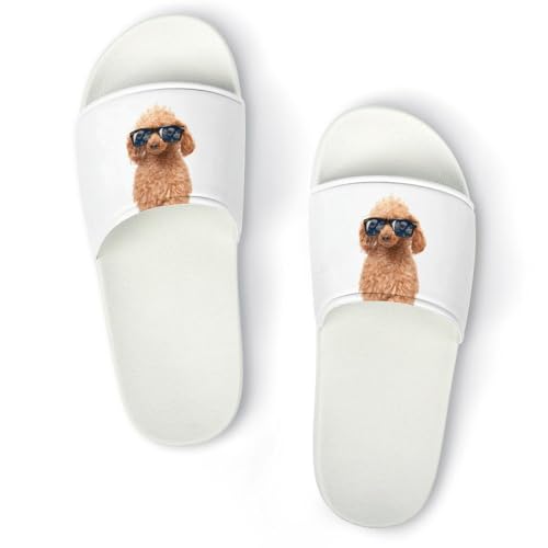 [ZKCASA] Xbp TOXgC v[h  [V[Y jp  T_ y OJ ~ 􂦂 p qp Cp v[g 41 (255mm)