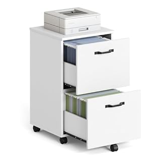 VASAGLE 2-Drawer Filing Cabinet, Mobile File Cabinet for Home Office, Small Rolling Filing Cabinet, Printer Stand, for A4, Letter-Size Files, Hanging File Folders, White OFC040W46