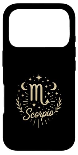 嶍 {[z[_萯pzXR[vfUC X}zP[X iPhone 17 Pro p