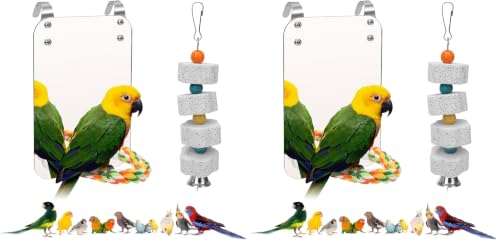 Image of AHIER 7 Inch Bird Mirror with Rope Perch, Bird Toys Swing Parrot Grinding Stone with Bell for Parakeet Cockatoo Cockatiel Lovebirds Canaries (Pack of 2)