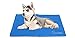 Pecute Tappetino raffreddamento cani Medio 65x50 cm - gel non tossico - sistema di auto raffreddamento - perfetto per cani e gatti in estate