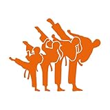 Taekwondo Karate Kampfsportverein Gravuraufkleber 51x63.9cm Mehrere Farbauswahl Orange