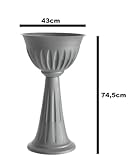 Zoom IMG-2 bama alba cup fiore 30 Zoom IMG-2 bama alba cup fiore 30