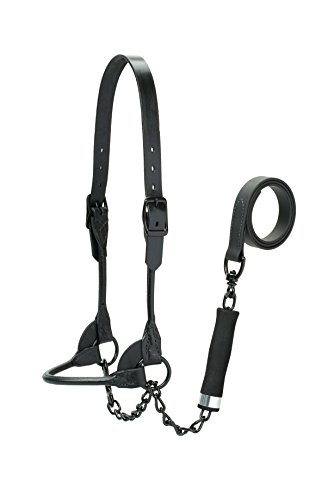 Weaver Leather Livestock Magic Show Halter with Kirk Stierwalt Sure Hand Lead, Black Weaver Leather Livestock Magic Show Halter with Kirk Stierwalt Sure Hand Lead, Black