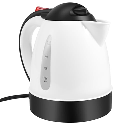 Swiixxer Vehículo 1000Ml Hervidor de Agua Caliente Calentador Hervido para Té Café Acero Inoxidable Gran Capacidad 24V