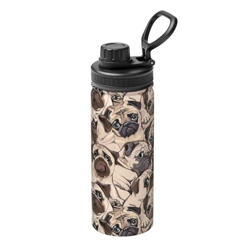   pO  XeX{g @r 500ml  ۗۉ ^fM X|[c{g e nht ^ Rh~  oR AEghA ʋ ʊw