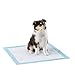 Amazon Basics - Empapadores de adiestramiento para mascotas y cachorros, muy resistentes, Normal, 50 unidades