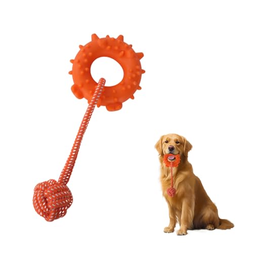 JOPOY p[vgC ^я^p C^NeBuq  j[v eU[ j AEghA p 1mbg q   Rbg PVCh[ict (IW)