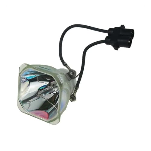 Module NP15LP pour vidéoprojecteur NEC M260w idéal pour vos cours et réunions