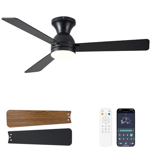 Dolavast Ceiling Fans with Lights, 48 inch Low Profile Ceiling Fan with Light and Remote Control,...