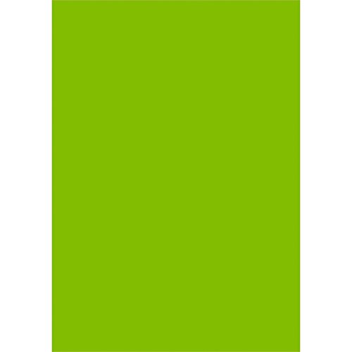 タカ印 ケイコーポスター 13-3196 厚口 B4判 緑