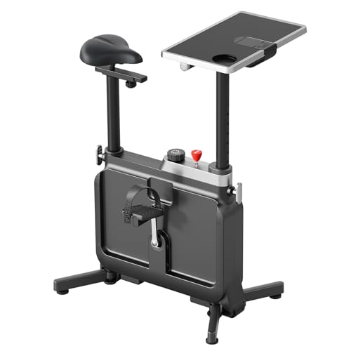 KINGSMITH Exercise Bike with Desk