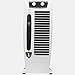Blueberry's 𝗧𝗼𝘄𝗲𝗿 𝗙𝗮𝗻 - High Speed with powerful air throw, 25-Feet Air Delivery, Low power consumption, 4-way Air flow and anti-Rust body, Tower fan for home and office, 18-Months Warranty