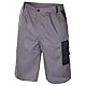 Art.Master Shorts_46