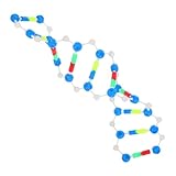 Aprendizaje: este kit de de adn el aprendizaje, permitiendo a los estudiantes y la de doble , de doble cadena, moleculares