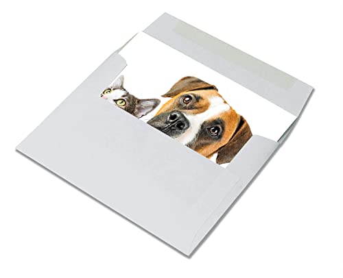 Image of Small World Greetings Dog and Cat Greeting Cards 12 Pack Blank Inside with Envelopes - A2 Size (5.5 inchx4.25 inch) - Pet Lover Gift, Birthday, Thank You, Thinking of You - Made in USA