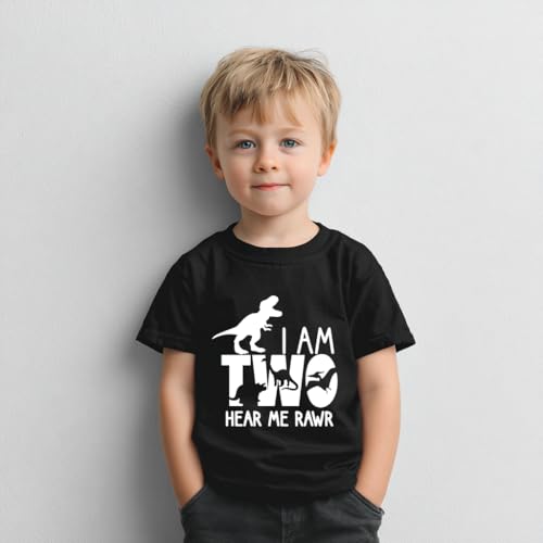 Toddler Boys 2nd Birthday Shirt, Two Handsome Dinos Firetruck Two Years Old Birthday Gift, Short Sleeve Tees3