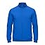 True Royal Blue