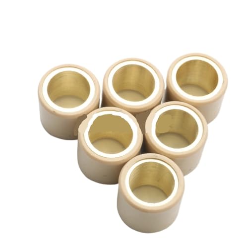 Poids de variateur universels 25x22 pour galet maxiscooter 500cc