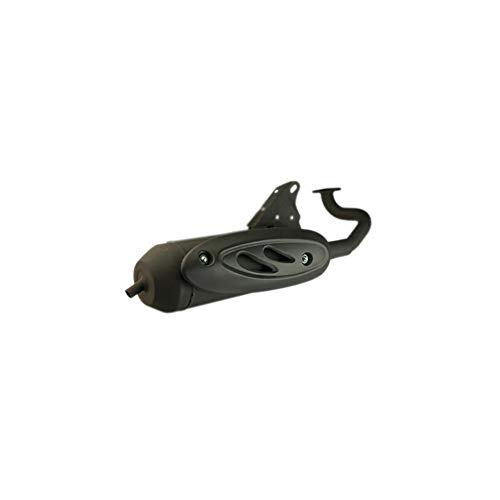 Motodak Pot Scooter Or tecnigas Silent Pro Compatible avec ludix/Vivacity 3/citystar/kisbee 2t