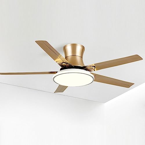 Ventilateur de plafond intérieur métal design moderne durable à télécommande - 2