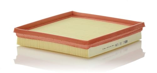 MANN-FILTER C 22 038 Air Filter - CARS + TRANSPORTERS